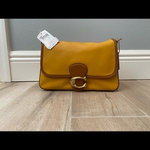 Soft tabby in buttercup